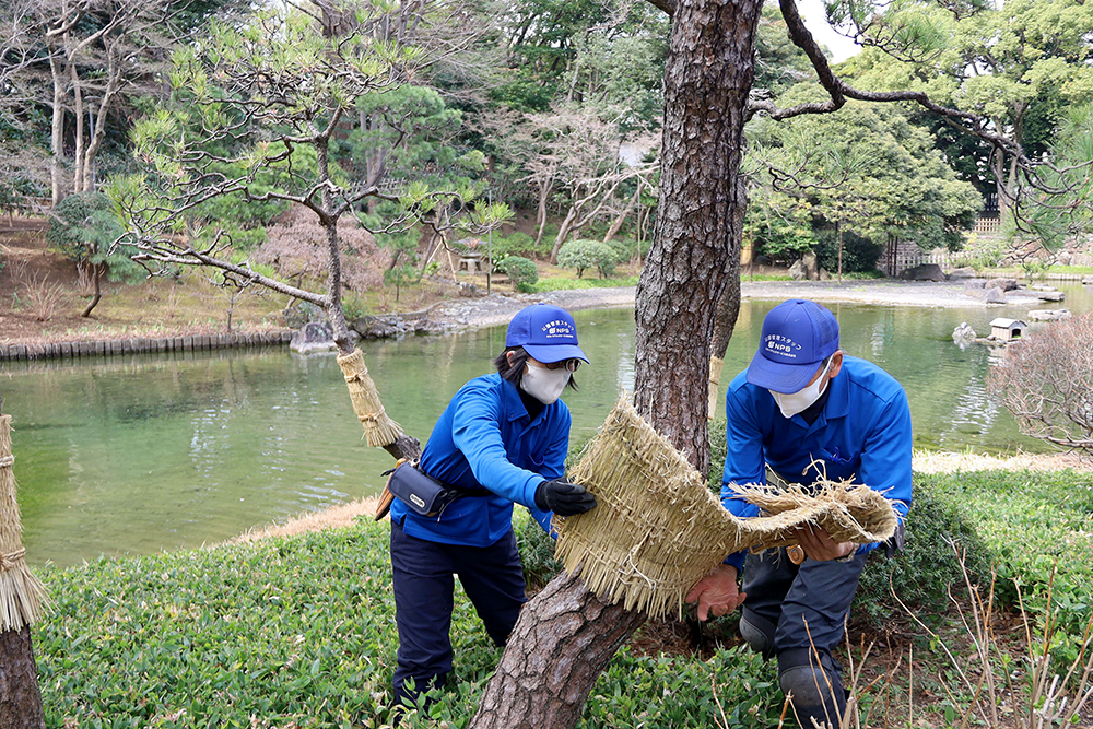 こもを外す職員